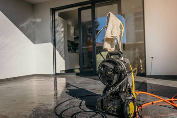 Best Roof Washing  in Nes, IL